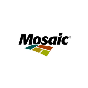 Team Page: Team Mosaic 